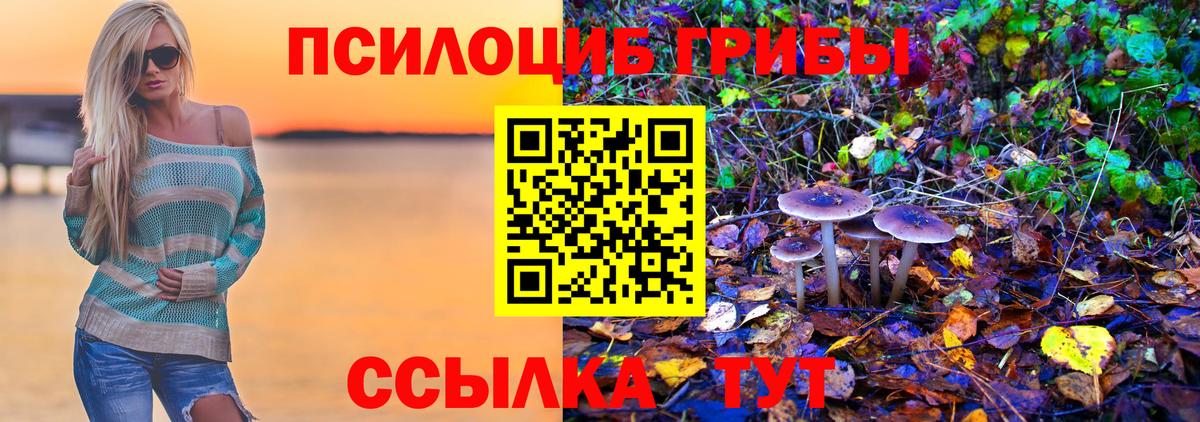 Наро-Фоминск  Псилоцибиновые грибы мухоморы  Вход с VPN 
